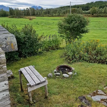 Warm And Cozy Cottage, Great Location Летний дом *