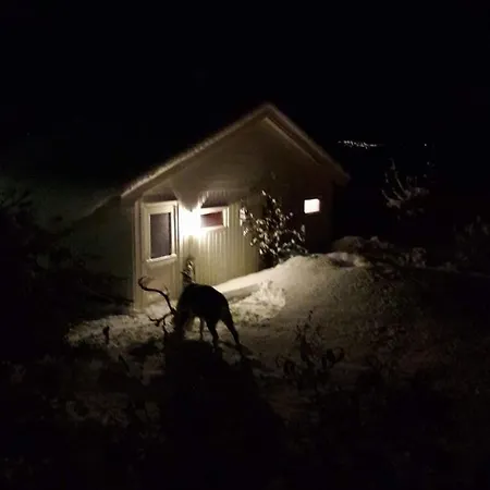 Warm And Cozy Cottage, Great Location *