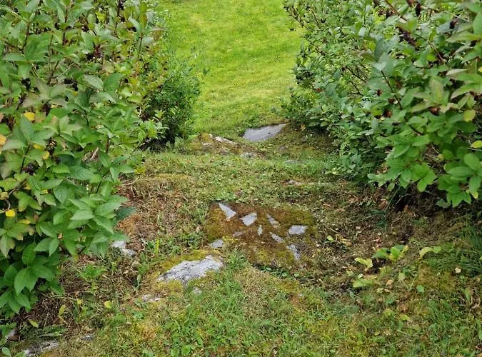 Warm And Cozy Cottage, Great Location Gospodarstwo wiejskie *
